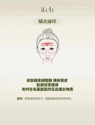 -MLP美丽派·问题肌疗愈中心