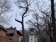 -灵谷景区