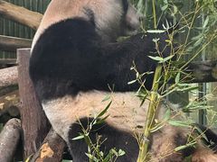 -上海动物园(地铁站)