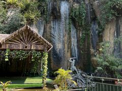 -西双版纳原始森林公园