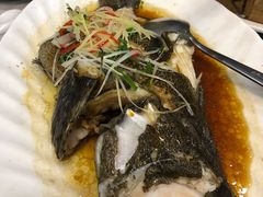 清蒸青斑-老钱饭店(后渚港店)