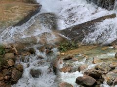 -广州白江湖森林公园