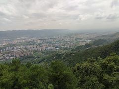 -缙云山景区