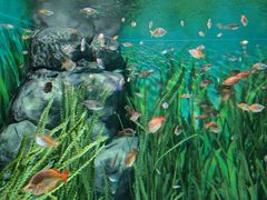 -上海海洋水族馆