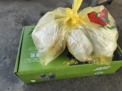 -马陆小张葡萄园农家乐