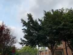 -四川大学(望江校区)
