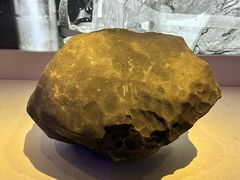 -吉林市博物馆