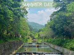 -广州白江湖森林公园