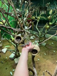 -Zoolung Zoolung动物主题公园(海信广场店)