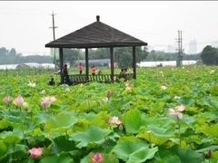 -梁鸿国家湿地公园