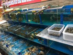 水产区-张家卫·阳江菜·小海鲜(肥婆湾桥店)