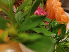 -樱の千渡日式料理·铁板烧•烧鸟(金盛田广场店)