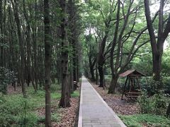 -同里国家湿地公园