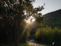 -兰亭风景区