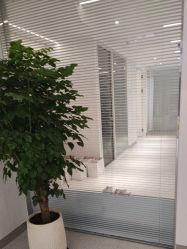 -魔型社烫染店