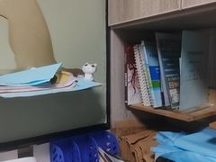 -半岛宠物医院24小时(白果林店)
