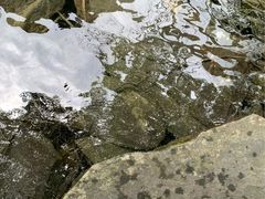 -叠溪松坪沟景区