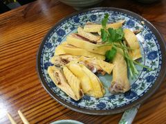 -九斤黄三黄鸡专卖店