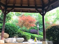 -天目湖涵田半山温泉
