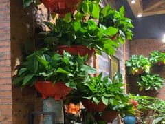-紫藤燕语(兴澄银座店)