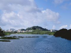 -立新湖公园