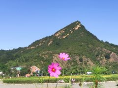 -梨木台望仙阁精品农家院(东山店)