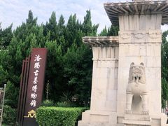 -洛阳古墓博物馆