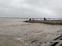 -南汇嘴观海公园