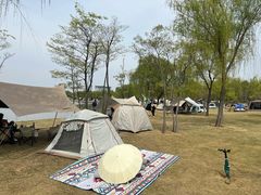 -象湖生态湿地公园