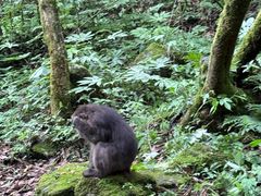-西岭雪山大飞水景区