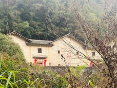 -雁南飞茶田景区
