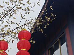 -峨眉山报国寺
