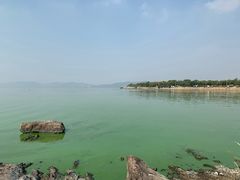 -上海市保健医疗中心