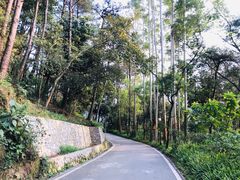 -三门江国家森林公园