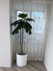 -HEYAN荷妍专业脱毛连锁机构