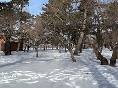 -长春市南湖公园