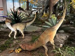 -湖南省地质博物馆