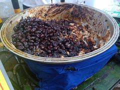 -马文章胖子甑糕(洒金桥店)