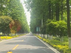 -歌斐颂巧克力小镇