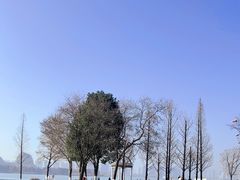 -西山漾湿地公园