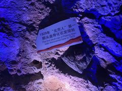-周口店北京人遗址公园