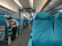 -龙阳路磁悬浮列车总站-停车场