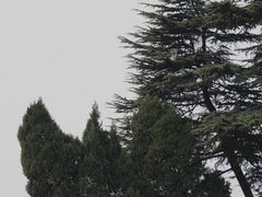 -钟山体育运动公园