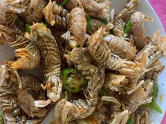 -南沙十九涌渔人码头-南门