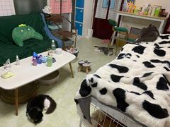 -9A青年公寓(深圳罗湖口岸店)