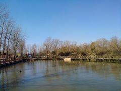 -溱湖国家湿地公园