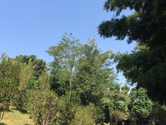 -玉树公园