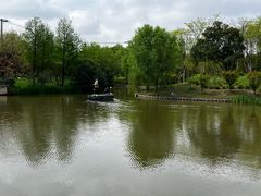 -上海长兴岛郊野公园