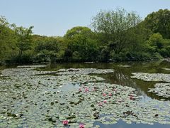 -白马涧龙池景区