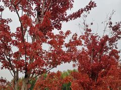 -沈阳职业技术学院